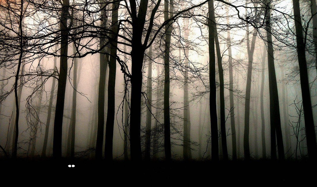 De 8 mest hjemsøkte stedene å besøke i Norge for Halloween